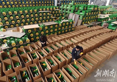 備戰(zhàn)雙十一，薯類產(chǎn)品銷售攻略